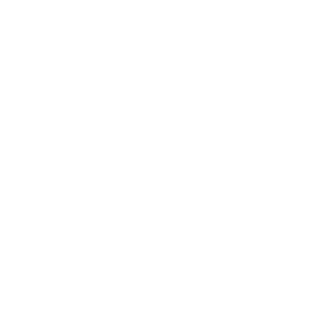 Home advisor icon