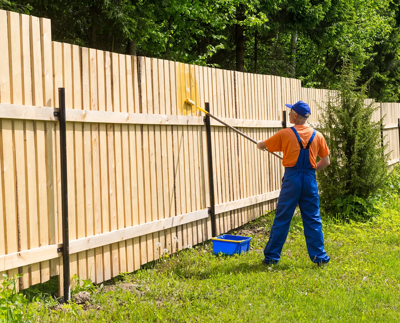 fence painting services in canton ga