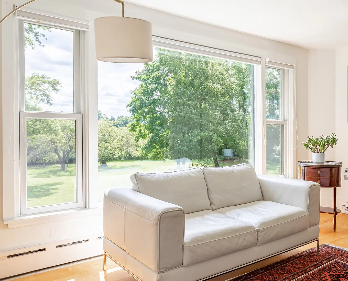 Picture Windows in canton ga